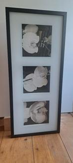IKEA Erikslund "Orchideeën" ingelijst wanddecoratie, Huis en Inrichting, Ophalen of Verzenden, Zo goed als nieuw, Schilderij, Minder dan 50 cm
