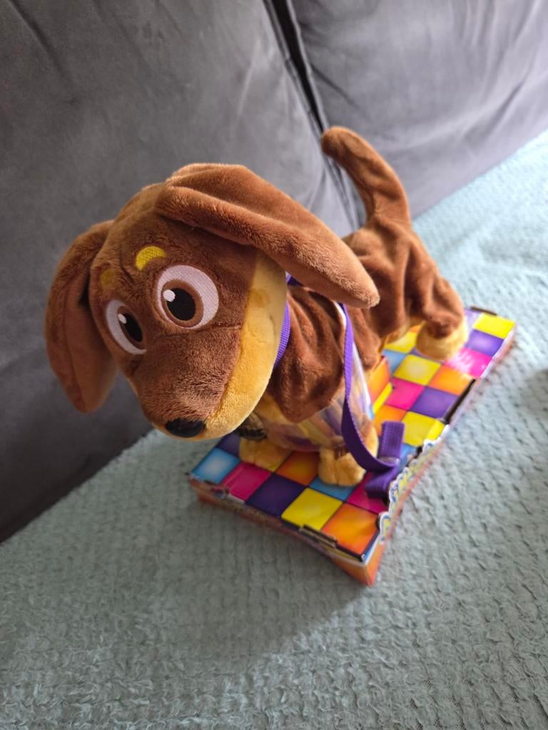 Hondje, Ophalen of Verzenden, Zo goed als nieuw, Hond