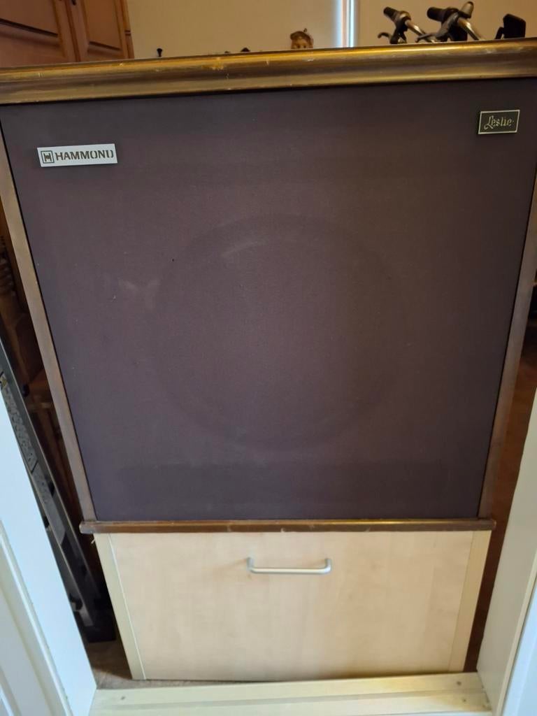 Hammond Leslie speaker, Muziek en Instrumenten, Ophalen of Verzenden