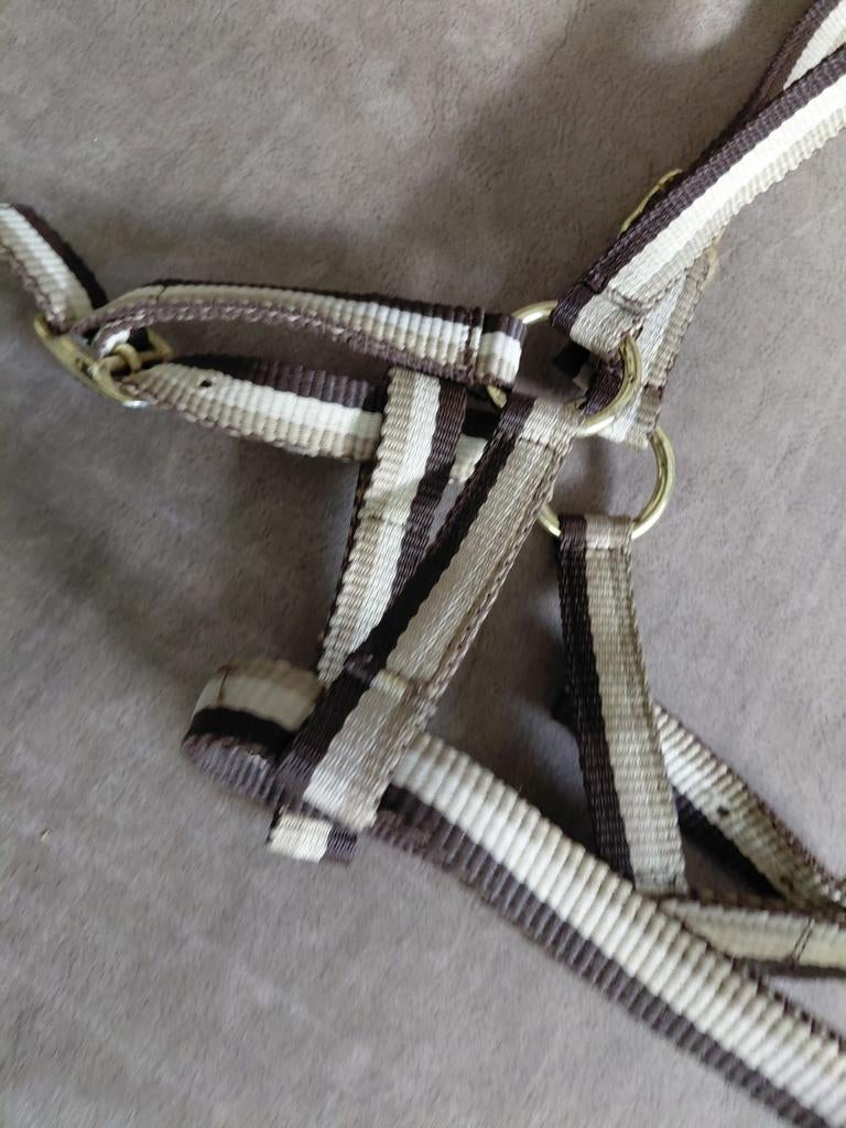 Shetland halster bruin/beige, Ophalen of Verzenden, Zo goed als nieuw, Overige soorten