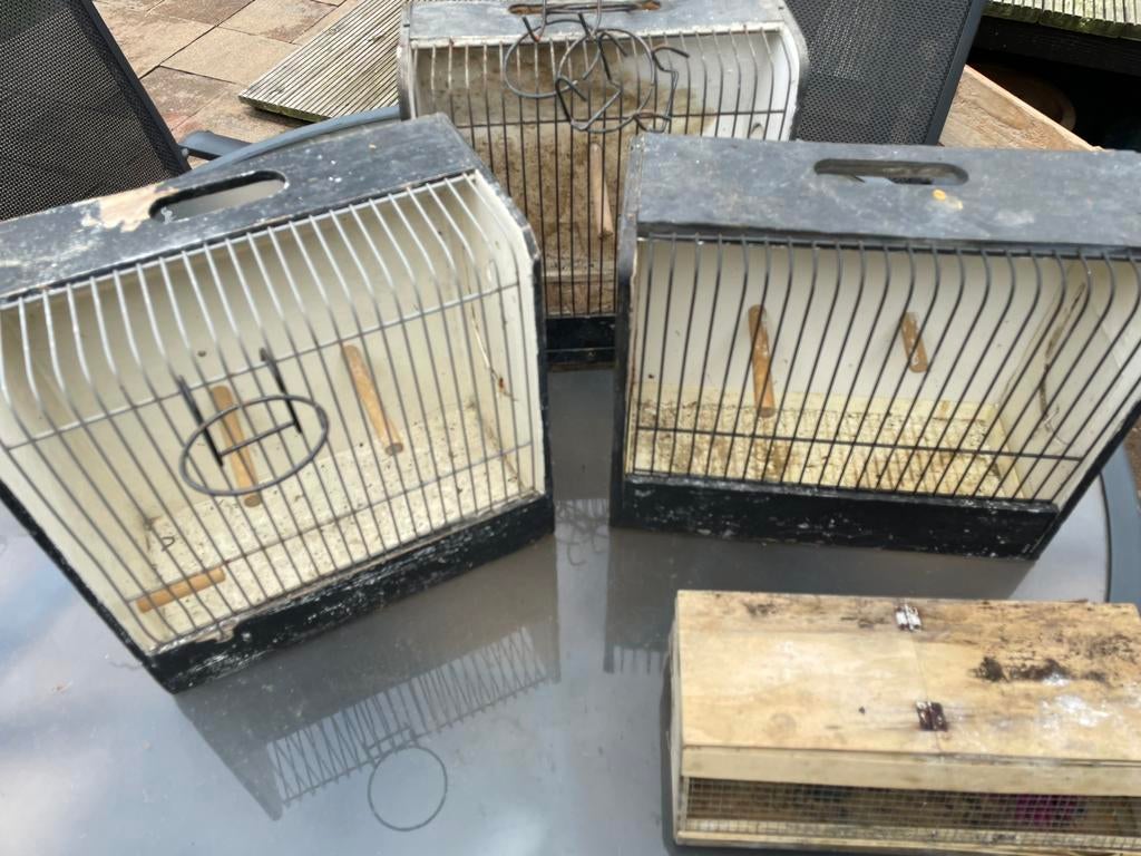 Transportkooi vogels, Ophalen of Verzenden, Zo goed als nieuw, Hout