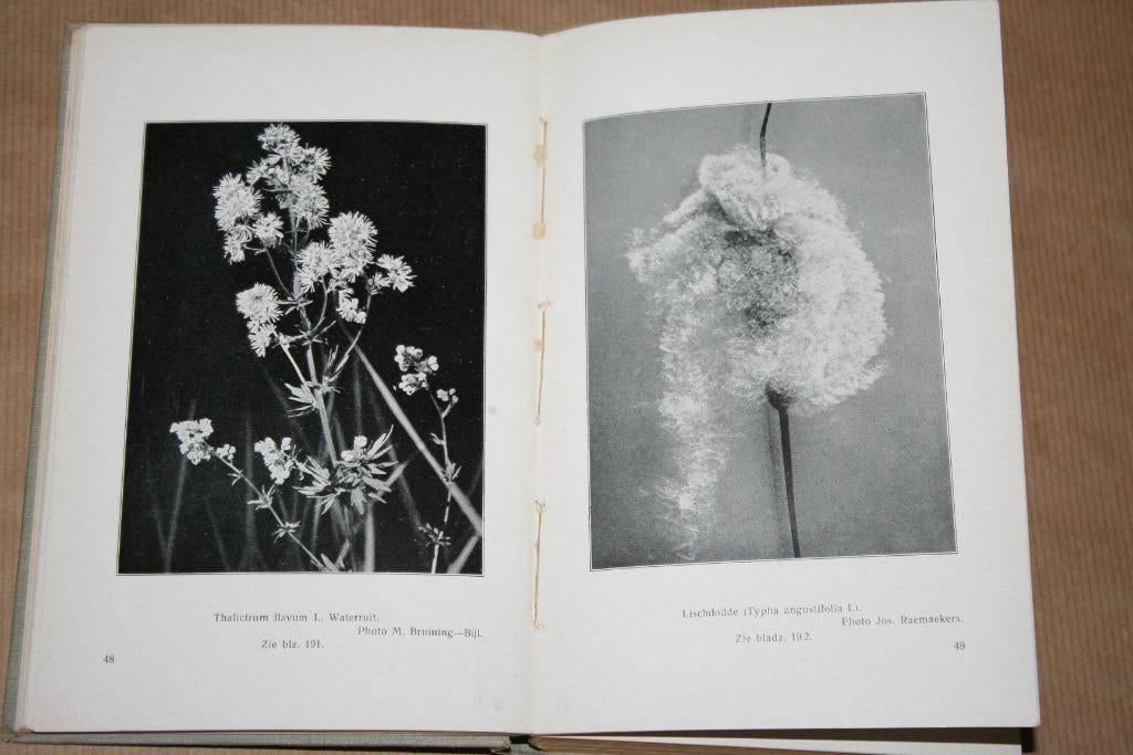 Bloemen - D.J. van der Ven - Oude uitgave 1916, Ophalen of Verzenden, Gelezen, Bloemen, Planten en Bomen