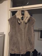 Nieuwe body warmer  Marccain maat 5, Kleding | Dames, Bodywarmers, Ophalen of Verzenden, Nieuw, Maat 38/40 (M), Zwart