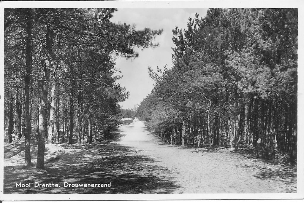 Mooi Drenthe   Drouwenerzand, Ophalen of Verzenden, 1940 tot 1960, Gelopen, Drenthe
