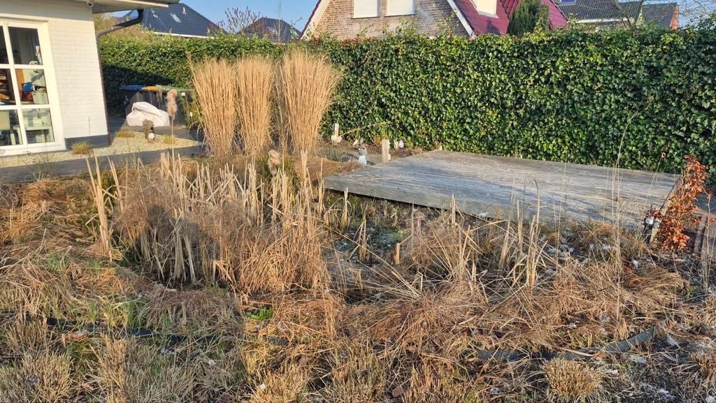 Vijver repareren/aanleggen, Tuin en Terras, Vijvers, Ophalen of Verzenden