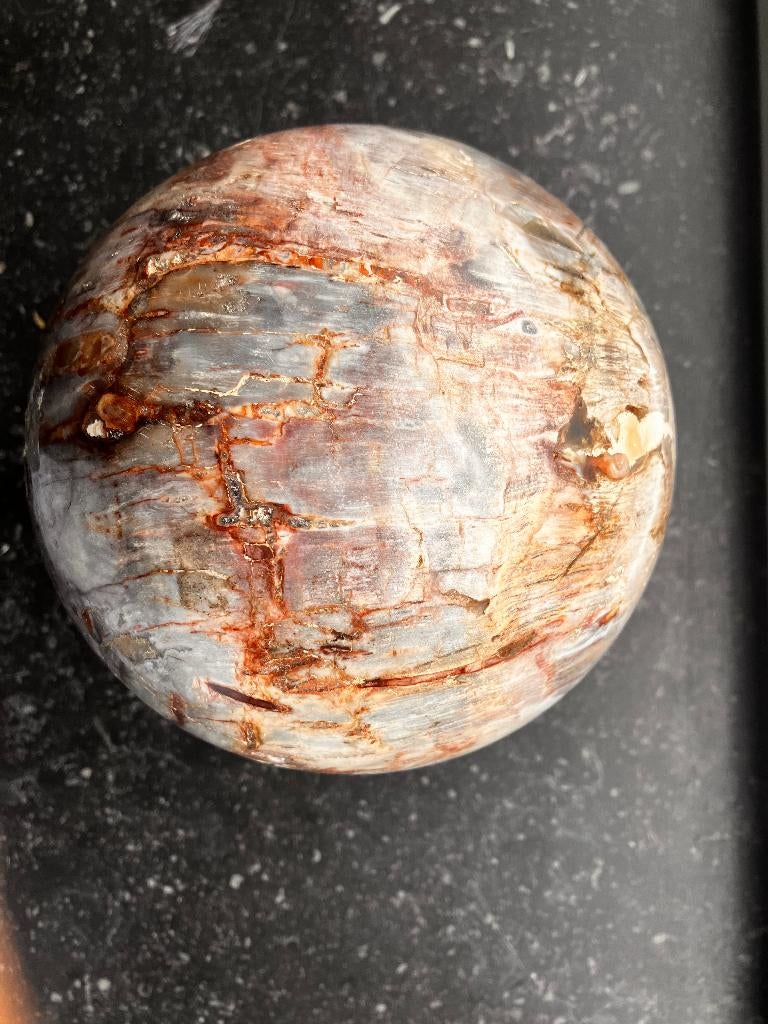 bol versteend hout 14 cm breed, Ophalen of Verzenden, Overige typen