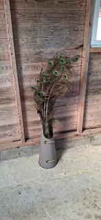 Pauwenveren, Ophalen of Verzenden, Zo goed als nieuw