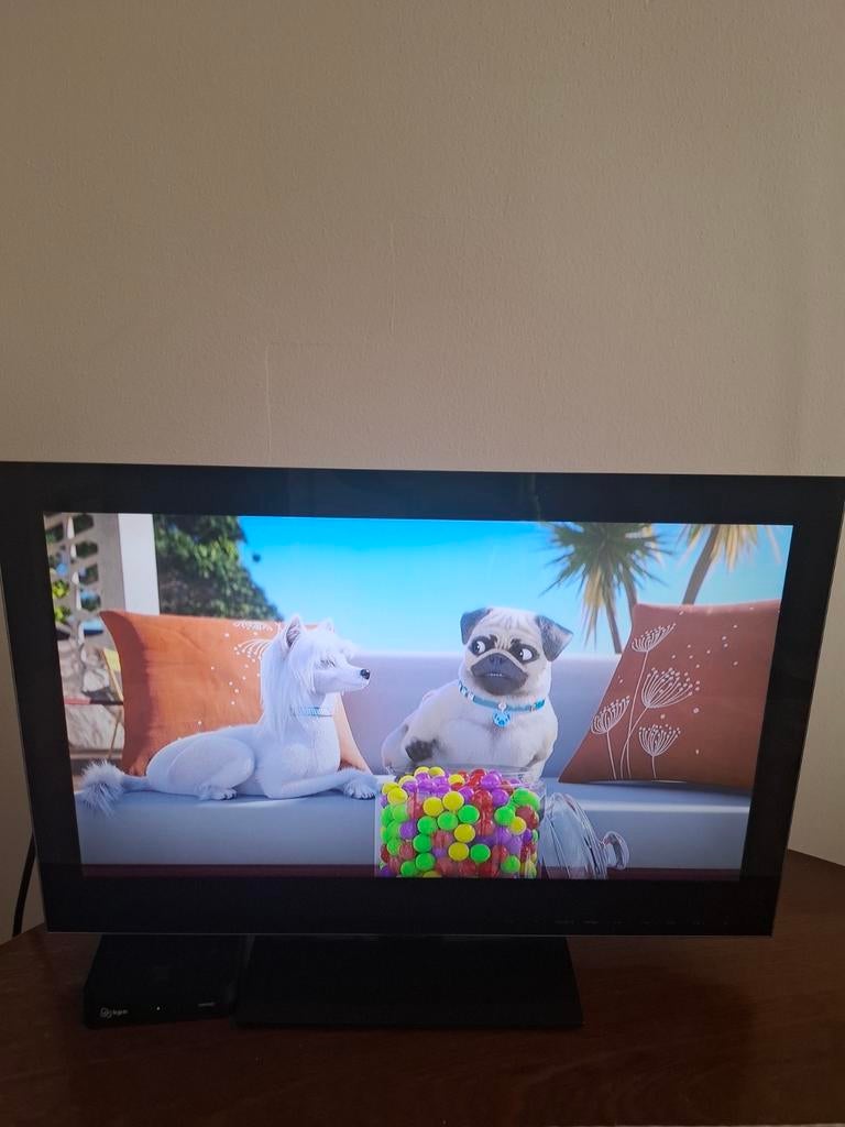 Tv salora, Ophalen, Zo goed als nieuw, 50 Hz, Overige merken