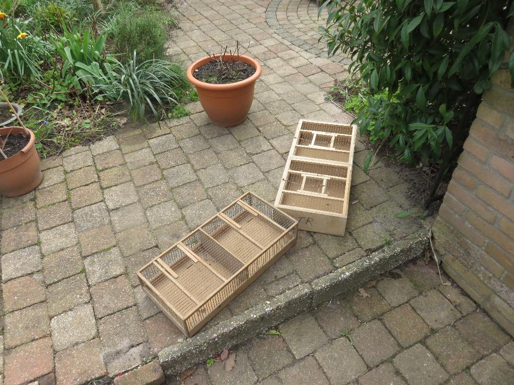 lopers vervoer kooien, Ophalen, Gebruikt, Hout, Vogelkooi