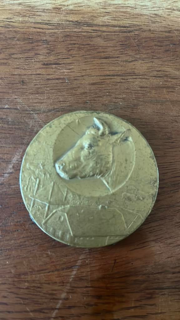 Penning met koeienkop, Ophalen of Verzenden, Overige materialen