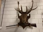 Opgezette damhertkop  geweerrek, Antiek en Kunst, Ophalen