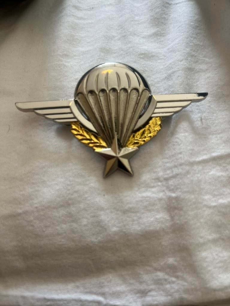 Embleems badges, Ophalen of Verzenden, Landmacht, Overige gebieden, Embleem of Badge