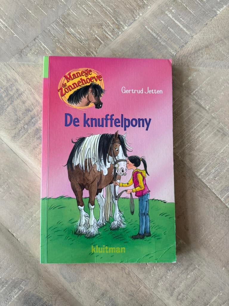 De knuffelpony - Gertrud Jetten, Ophalen of Verzenden, Gelezen, Fictie algemeen