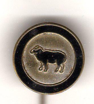 Speldje ZWARTE SCHAPEN ALMERE VOETBAL (A7), Verzamelen, Speldjes, Pins en Buttons, Verzenden, Gebruikt, Overige onderwerpen