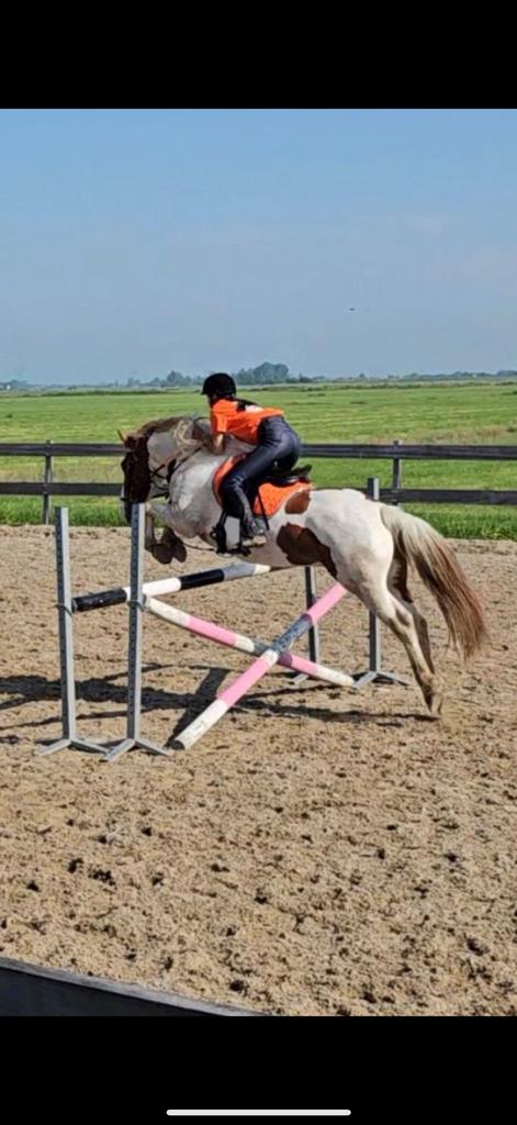 Paardrijlessen, instructrice, privéles groepsles amsterdam, Paardrijles of Ponykampen