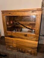 Hamsterhok met toebehoren en evt baby hamster 🐹, Dieren en Toebehoren, Minder dan 60 cm, Minder dan 75 cm, Ophalen of Verzenden