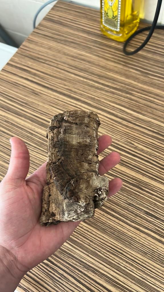 Drijfhout, Dieren en Toebehoren, Ophalen of Verzenden, Zo goed als nieuw