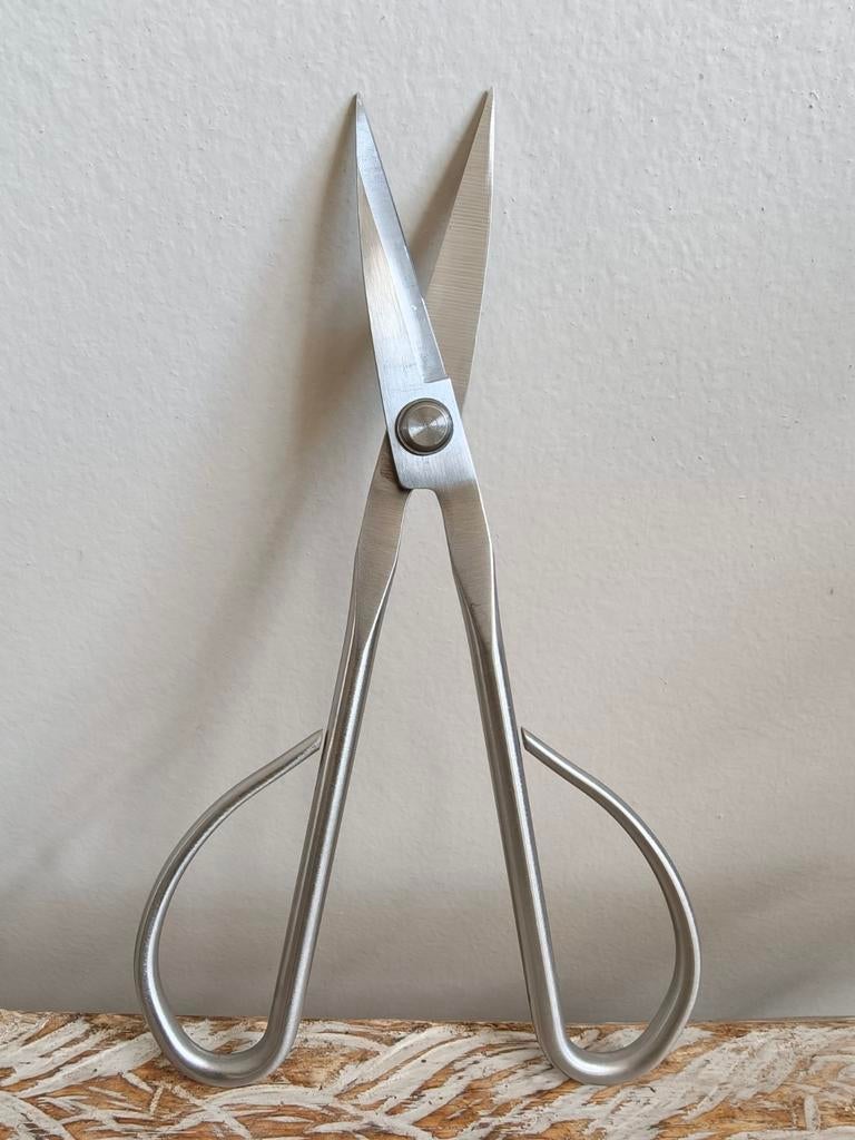 Bonsai schaar 21cm, Bloeit niet, Halfschaduw, Minder dan 100 cm, Overige soorten