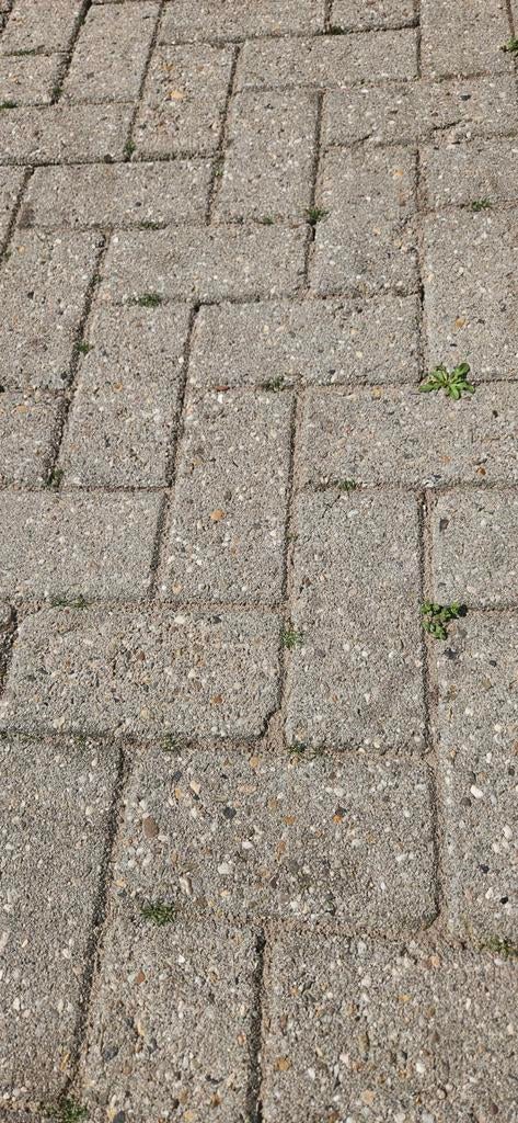 Gratis klinkers, achtertuin vol, Tuin en Terras, Ophalen, Gebruikt, Beton, Klinkers