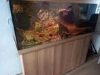 Aquarium juwel rio 450 met ledverlichting, Ophalen, Zo goed als nieuw, Leeg aquarium
