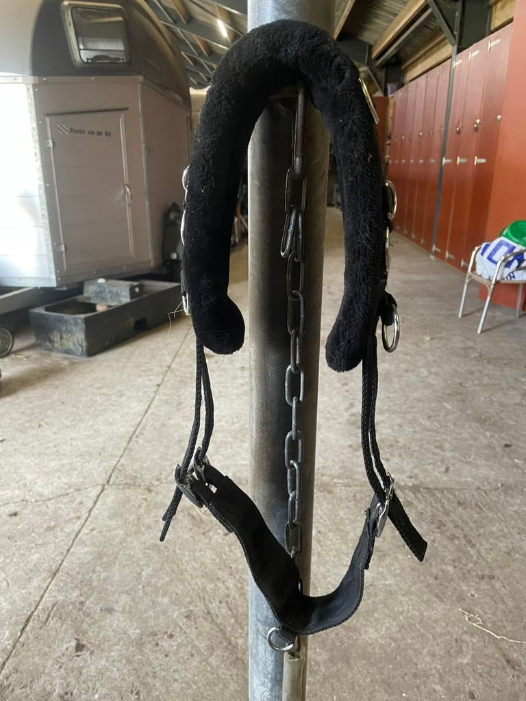 Longeer singel, Ophalen of Verzenden, Zo goed als nieuw