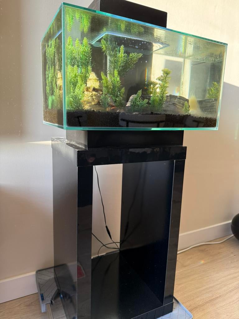 Aquarium Fluval Edge Zwart 23L incl. Meubel + Extra’s, Ophalen, Gebruikt, Leeg aquarium, Fluval