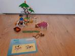 Playmobil Paddock met paardenfamilie 5227, Ophalen of Verzenden, Zo goed als nieuw, Complete set