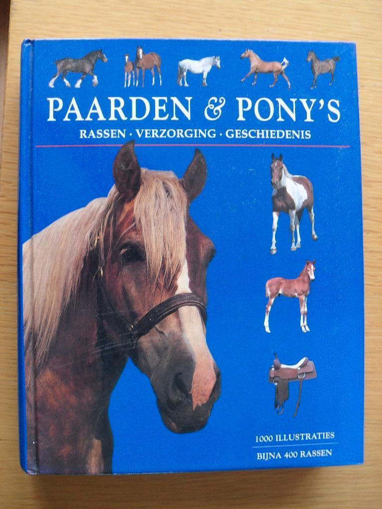 Paarden en Pony's van Tamsin Pickeral, Ophalen of Verzenden, Gelezen, Paarden of Pony's