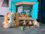 Live Pets Knuffelhamster met Huis en Accessoires, Ophalen of Verzenden, Zo goed als nieuw, Overige typen