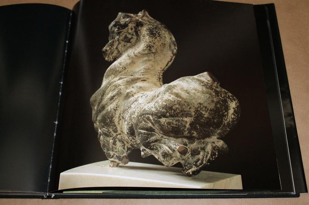 Boek over de werken van Arthur Spronken, beeldhouwer., Ophalen of Verzenden, Zo goed als nieuw