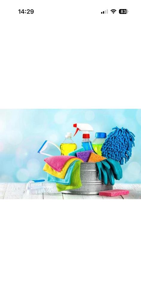 Poetshulp, Overige niveaus, Starter, Overige vormen