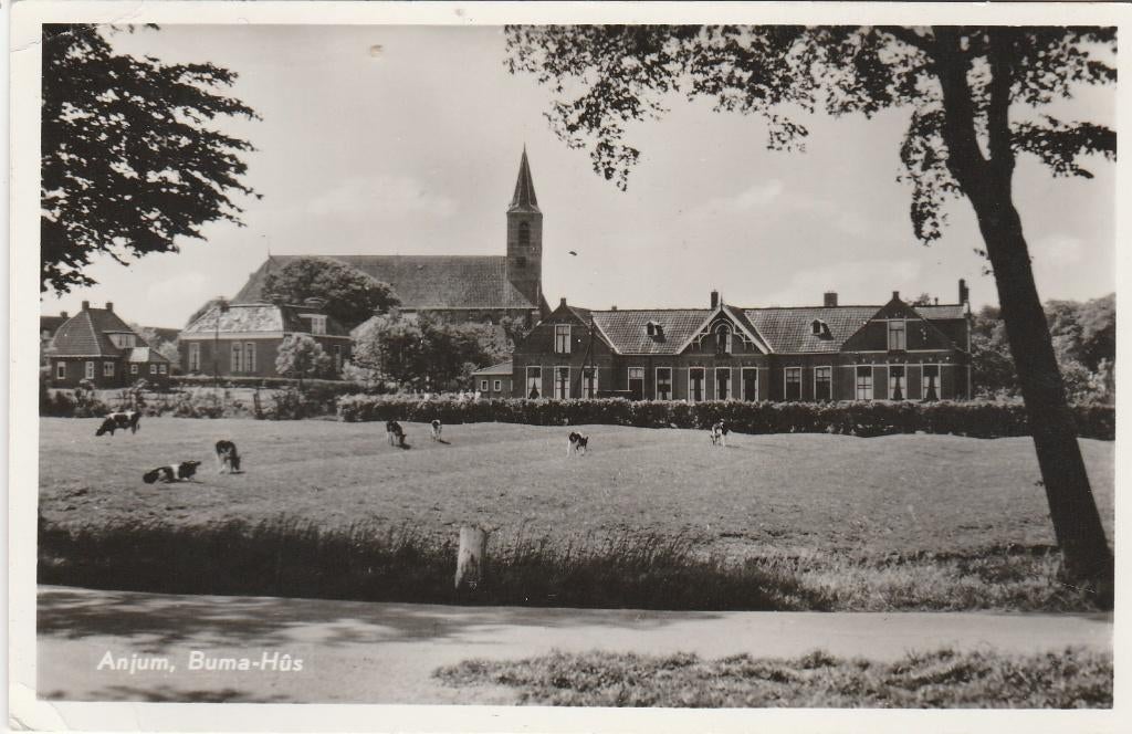 anjum- buma hus, Ophalen of Verzenden, 1940 tot 1960, Friesland