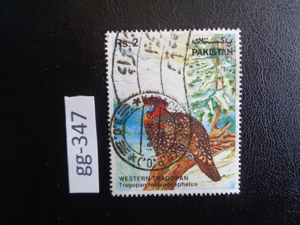 pakistan - vogel / zwartkop saterhoen 1981 (gg-347), Ophalen of Verzenden, Gestempeld, Zuid-Azië