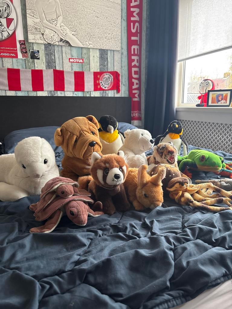 Diverse realistische dierenknuffels - Zo goed als nieuw, Ophalen, Hond, Zo goed als nieuw, Middelgroot (20 tot 80 cm)