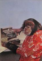 aap aan de kassa - Franse ansichtkaart, Verzenden, 1980 tot heden, Gelopen, Wild dier