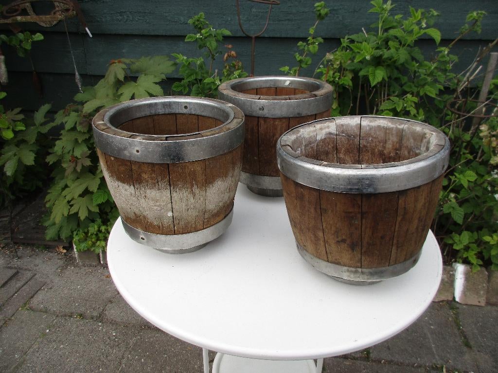 KAASVORM, Ophalen of Verzenden