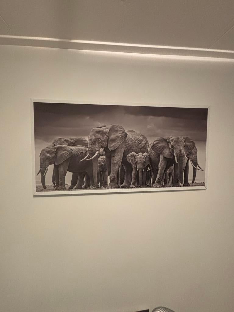 Mooi schilderij van olifanten, Huis en Inrichting, Woonaccessoires | Schilderijen, Tekeningen en Foto's, Ophalen, Zo goed als nieuw