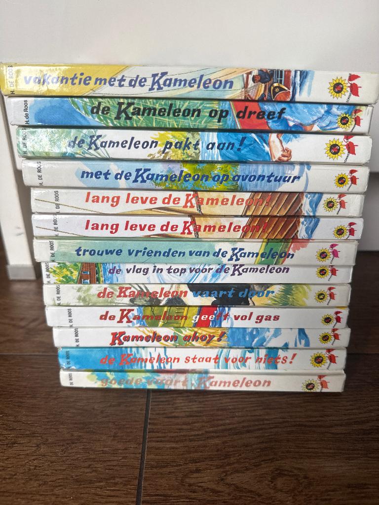 Kameleon boeken, Ophalen of Verzenden, Gelezen, H de roos, Fictie