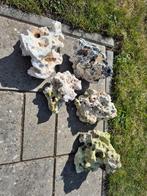Aquariumstenen moonstone 5 stuks, Ophalen, Zo goed als nieuw, Plant(en), Steen of Hout