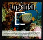 NEVIS 2019 PF BLOK VISSEN FISHES ZEELEVEN KORAAL CORAL, Ophalen of Verzenden, Postfris, Dier of Natuur