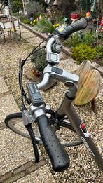 Giant twist twee accu’s en oplader, Fietsen en Brommers, Ophalen of Verzenden, Gebruikt, GIANT