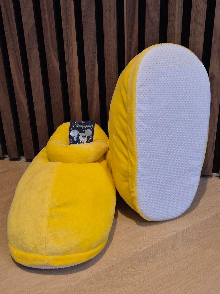 Mickey Mouse sloffen uit Disneyland Parijs, Ophalen of Verzenden, Mickey Mouse, Zo goed als nieuw, Overige typen