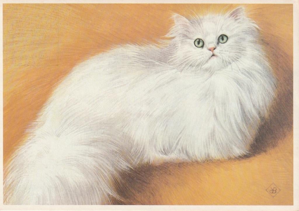 POES ONTW. KO VAN DEN BROECKE JAREN 60 ZEER MOO KAART Kl586, Verzenden, 1960 tot 1980, Ongelopen