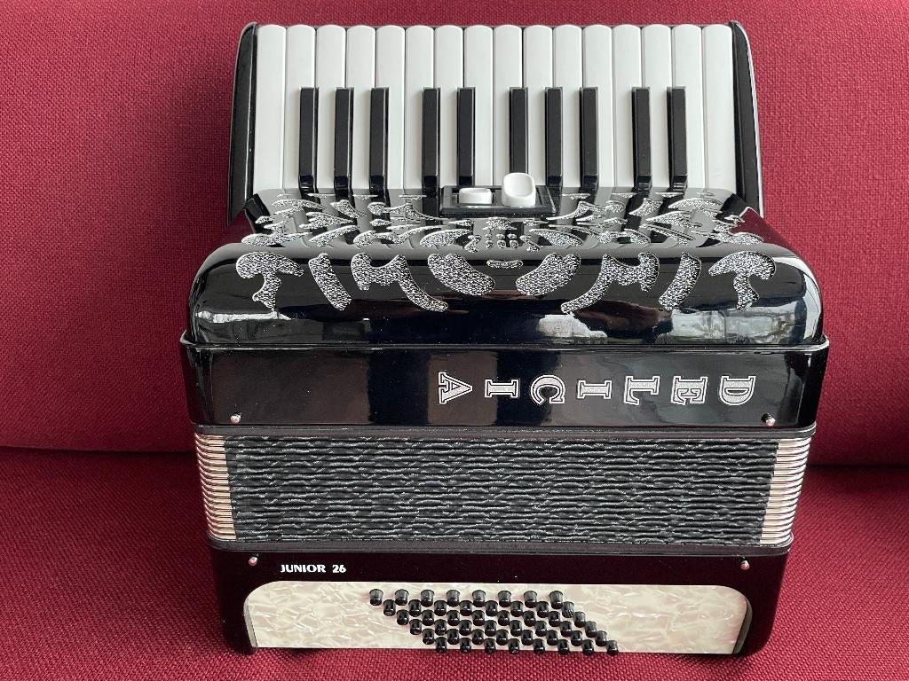 Z.g.a.n. kleine Delicia Junior 22 accordeon .48 bas .Licht ., Muziek en Instrumenten, Accordeons, 48-bas, Met koffer, Zo goed als nieuw