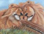 Schilderij leeuwen - met lijst - eigen werk - wildlife, Antiek en Kunst, Ophalen of Verzenden