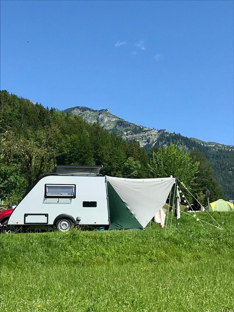 De Waard luifel voor Kip Shelter (laag model 2018), Ophalen, Gebruikt