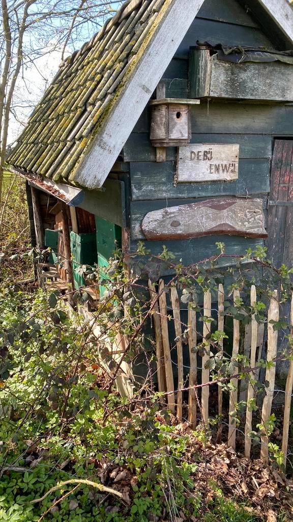 Bijenkasten, Dieren en Toebehoren, Bijen
