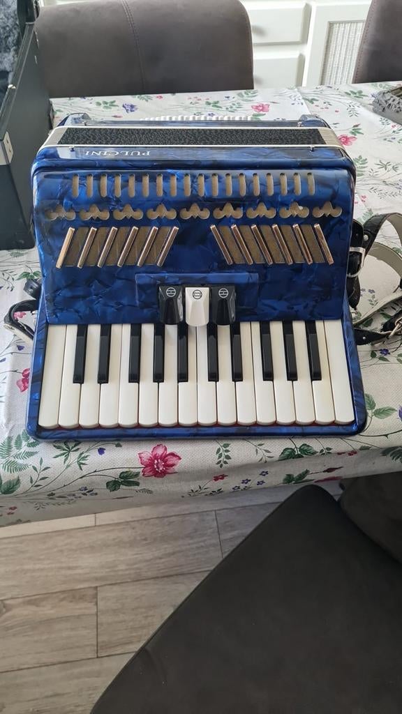 Mooie accordeon met koffer prijs 225, Overige merken, Gebruikt, Ophalen of Verzenden, Met koffer