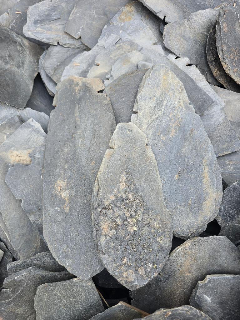 Leijen dakpannen, Doe-het-zelf en Verbouw, Dakpannen en Dakbedekking, Ophalen, Gebruikt, Steen of Klei, 15 m² of meer