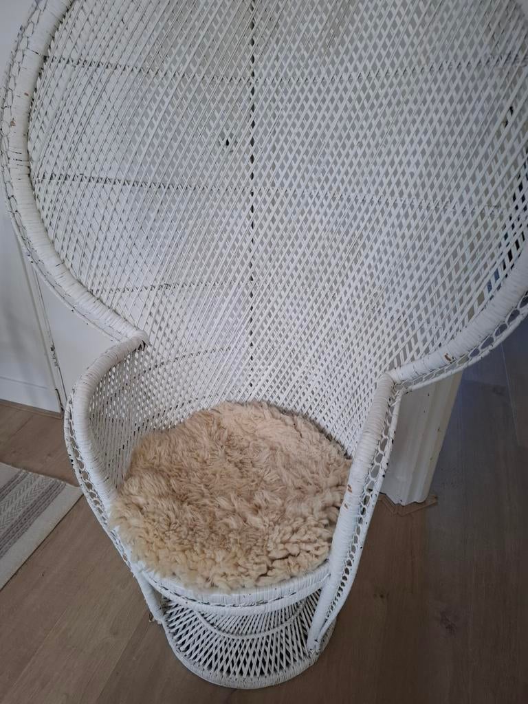 Prachtige witte rotan rieten pauwstoel, stoel, tuinstoel, Ophalen, Bruin, Eén